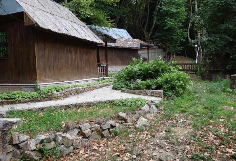 スタンダードバンガロー, Saint Nedelya