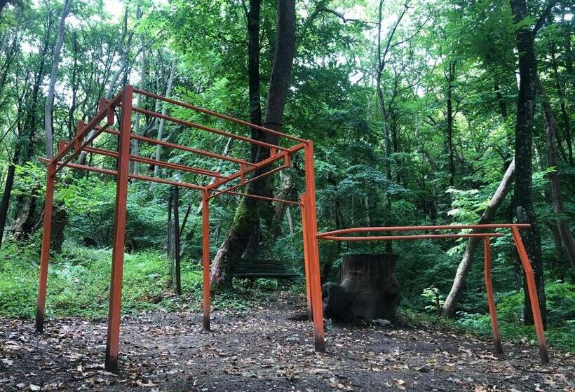 スタンダードバンガロー, Saint Nedelya