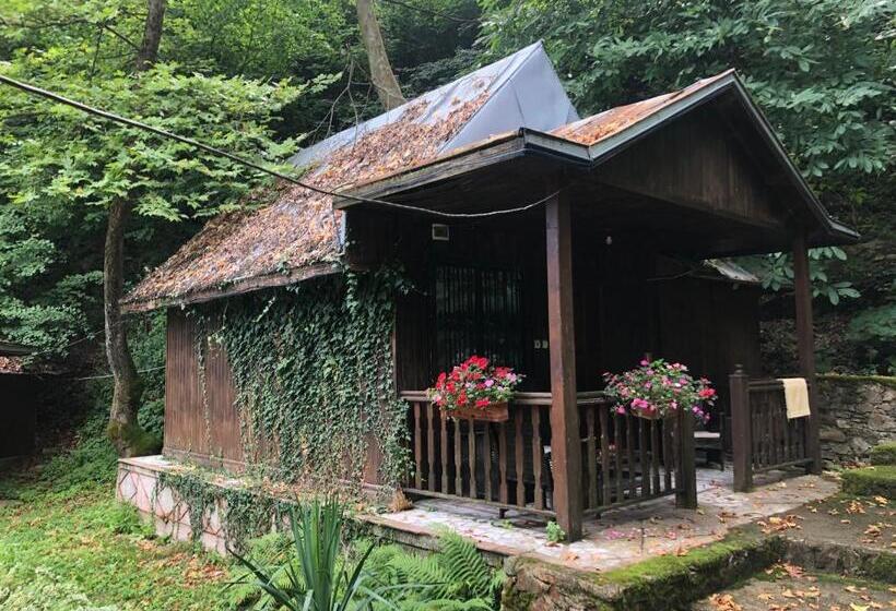 スタンダードバンガロー, Saint Nedelya