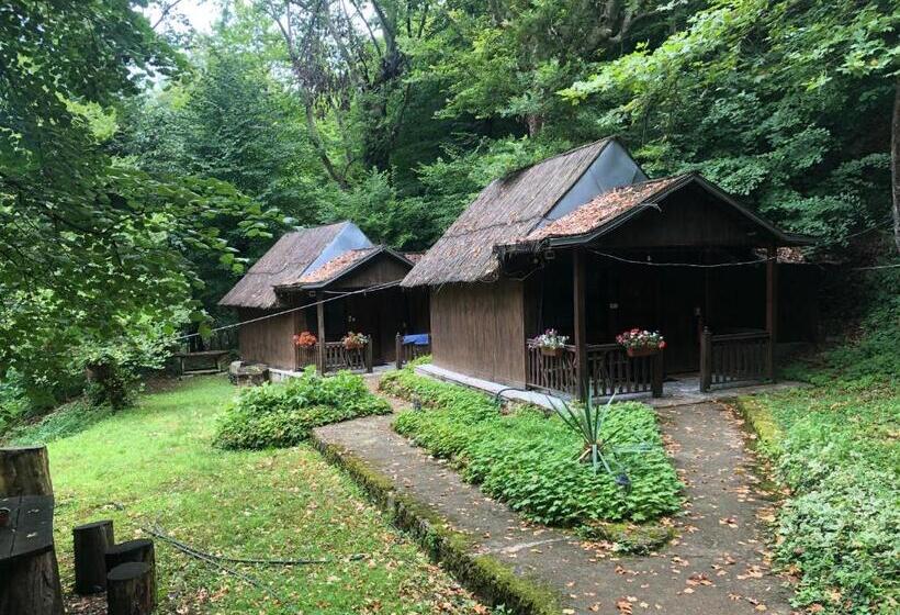 スタンダードバンガロー, Saint Nedelya