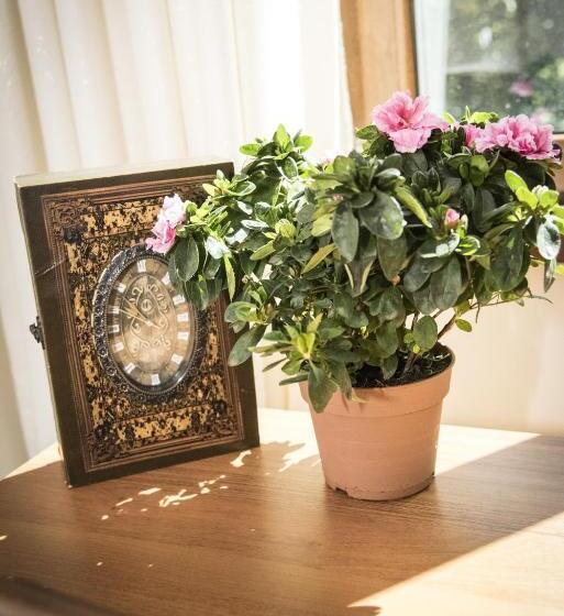 バルコニー付きスタンダードルーム, Saint Nedelya