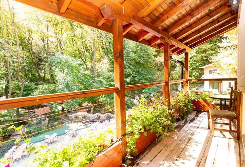 バルコニー付スイート, Saint Nedelya