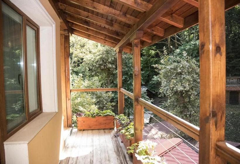 スタンダードトリプルルーム, Saint Nedelya