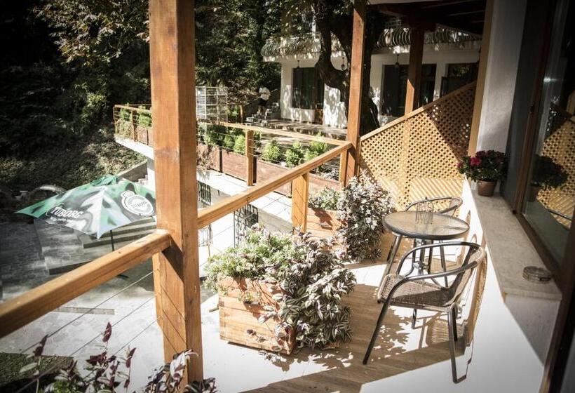 スタンダードトリプルルーム, Saint Nedelya