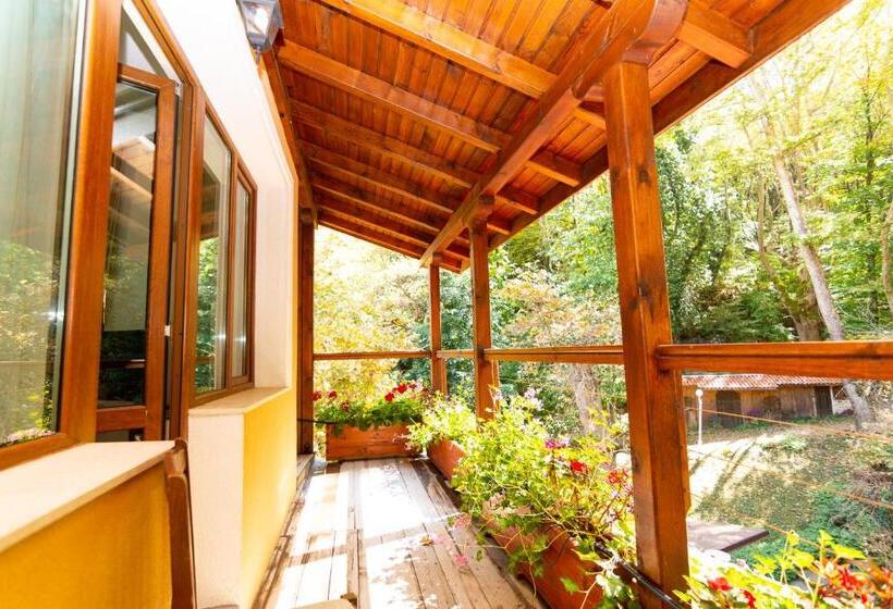 スタンダードトリプルルーム, Saint Nedelya