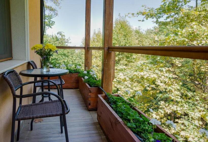 エコノミーシングルルーム, Saint Nedelya