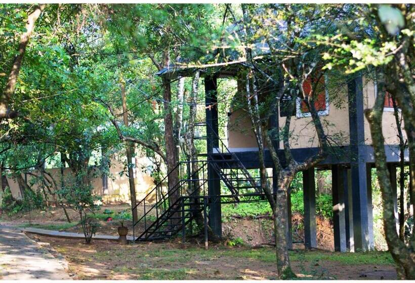 １ベッドルームハウス, Ambalama Leisure Lounge