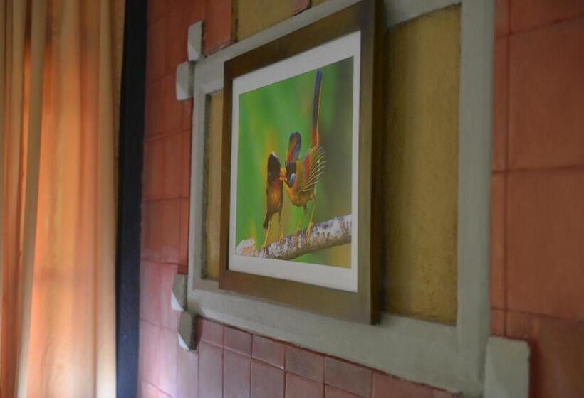 １ベッドルームハウス, Ambalama Leisure Lounge