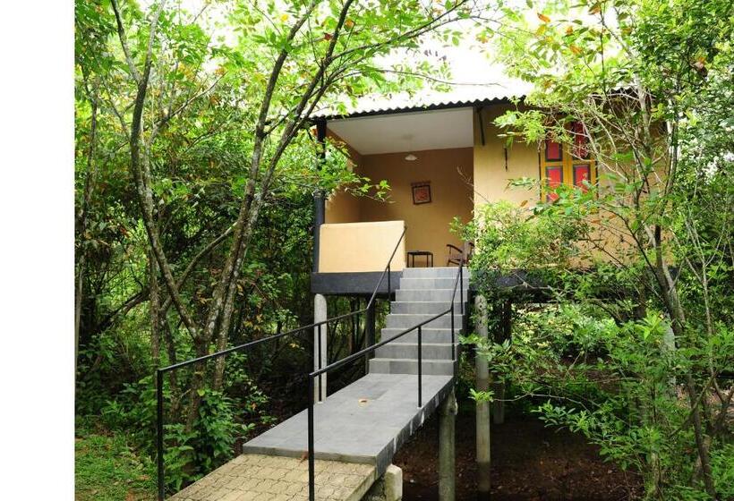 １ベッドルームハウス, Ambalama Leisure Lounge