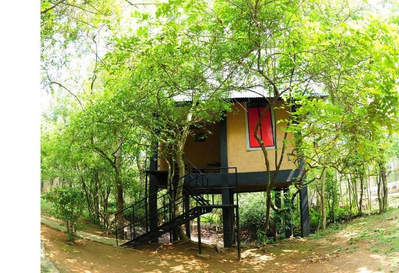 １ベッドルームハウス, Ambalama Leisure Lounge