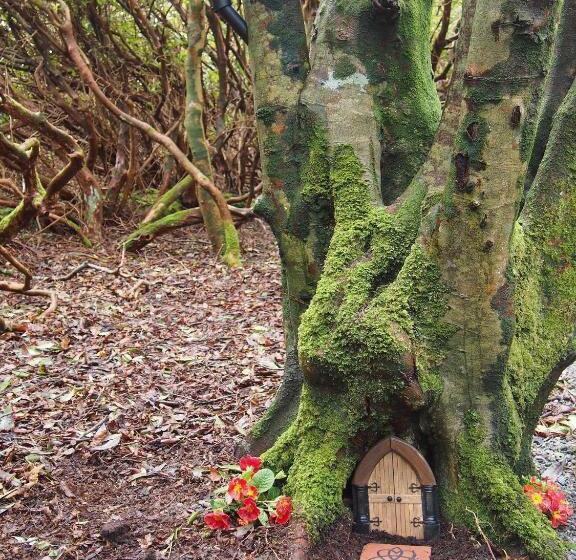 غرفة قياسية رباعية, The Valley House