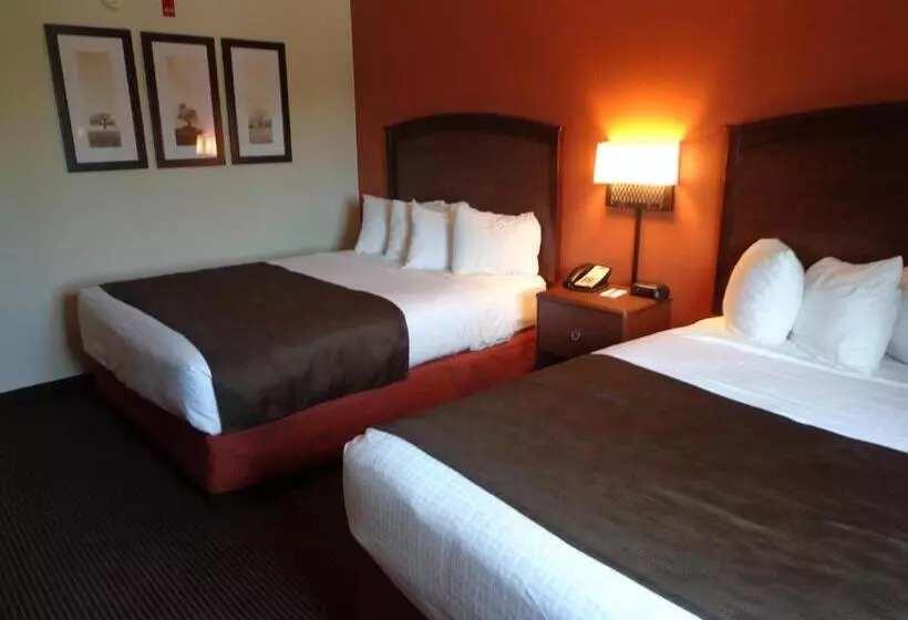 スタンダードスタジオ, Americinn By Wyndham Grand Forks