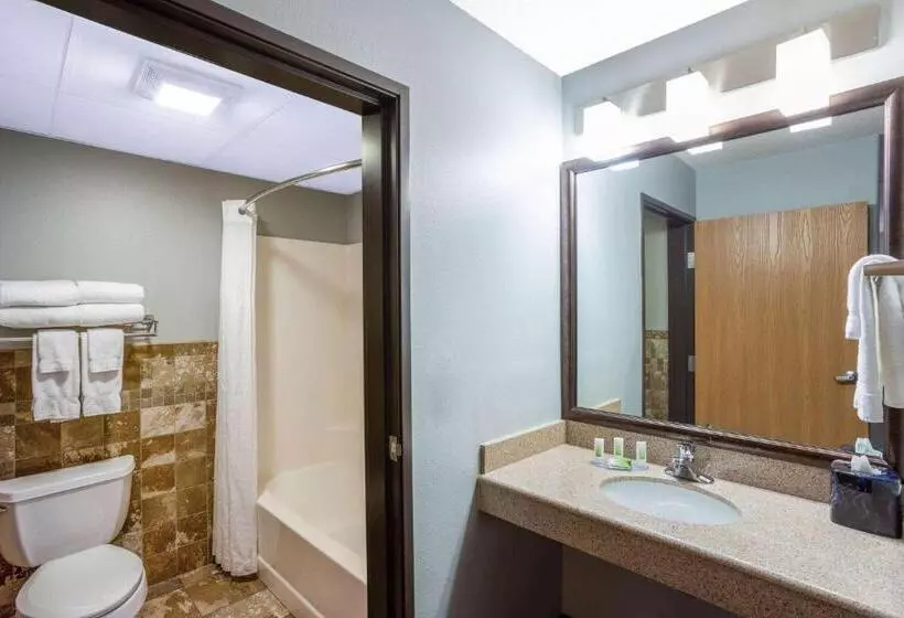 اتاق استاندارد با تخت بزرگ, Americinn By Wyndham Madison South