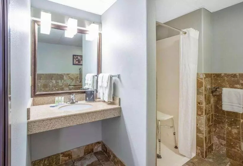 اتاق دلوکس مخصوص معلولین, Americinn By Wyndham Madison South