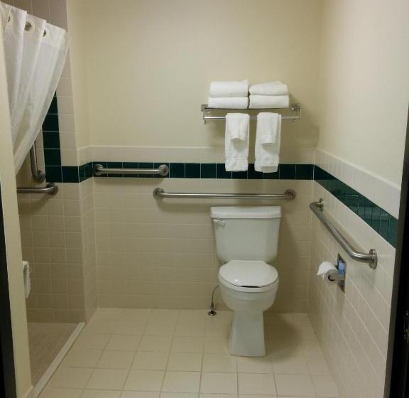غرفة قياسية سرير كينج لذوى الإحتياجات الخاصة, Americinn By Wyndham Princeton Mn