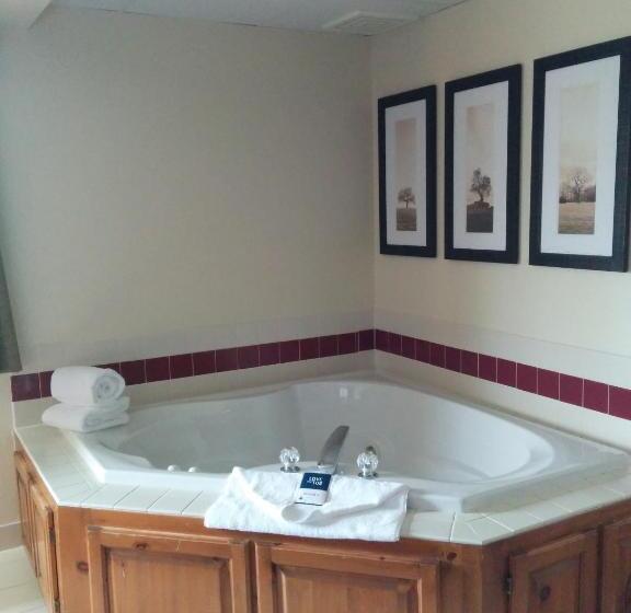 Люкс Премиум, Americinn By Wyndham Princeton Mn