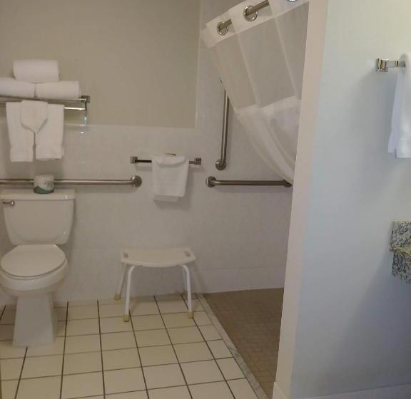 غرفة قياسية سرير كينج لذوى الإحتياجات الخاصة, Americinn By Wyndham Windsor Ft. Collins