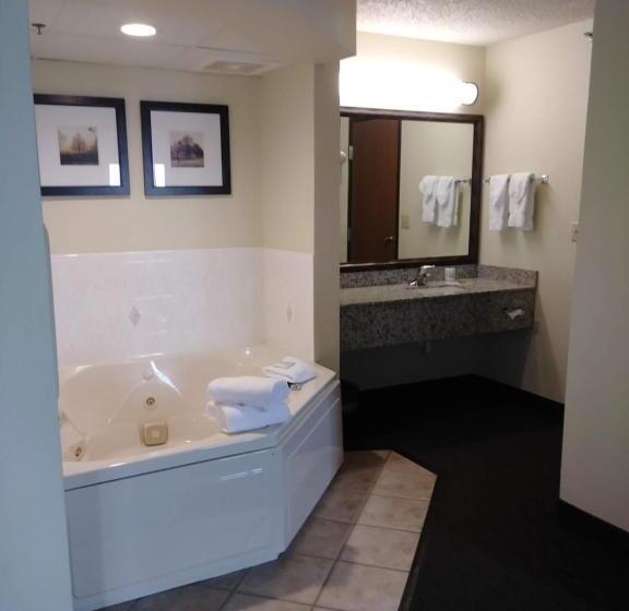 جناح بريميوم, Americinn By Wyndham Windsor Ft. Collins