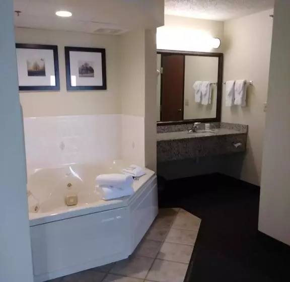 سوئیت پریمیوم, Americinn By Wyndham Windsor Ft. Collins