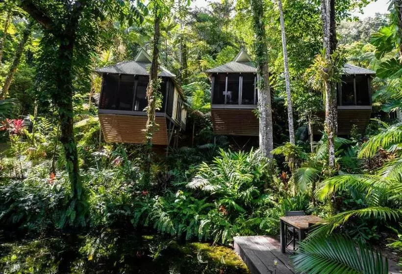 ビラホテル1ベッドルーム, Daintree Ecolodge