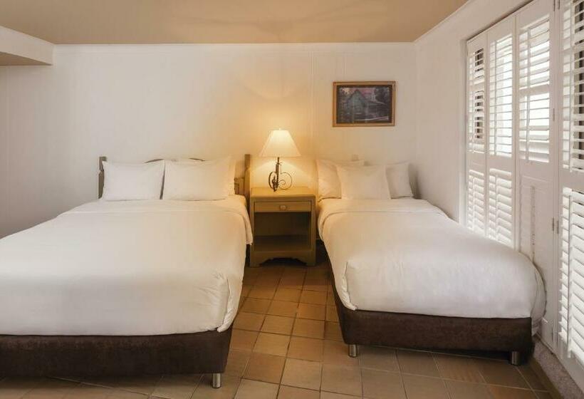 スタンダードルーム, Decameron Aquarium   All Inclusive