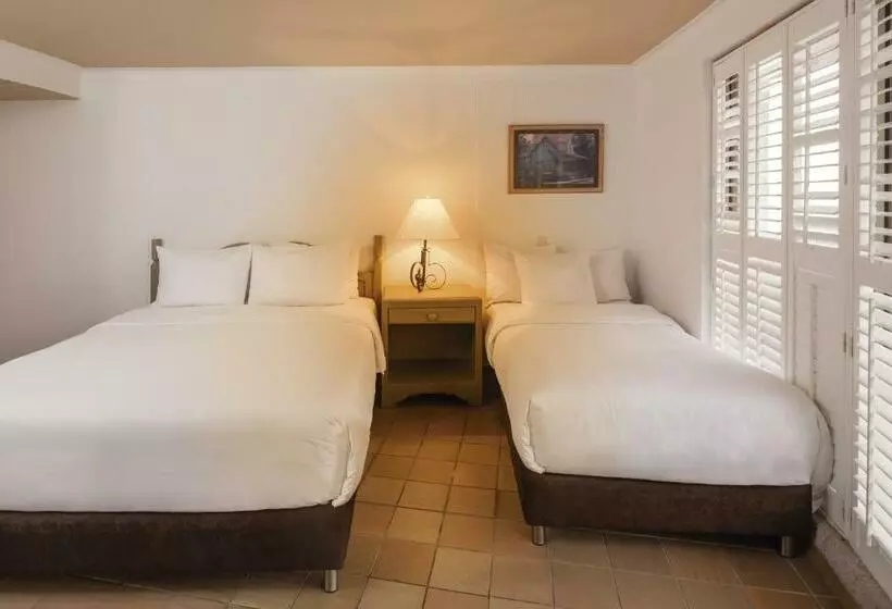 اتاق استاندارد, Decameron Aquarium   All Inclusive