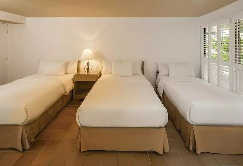 اتاق استاندارد, Decameron Aquarium   All Inclusive
