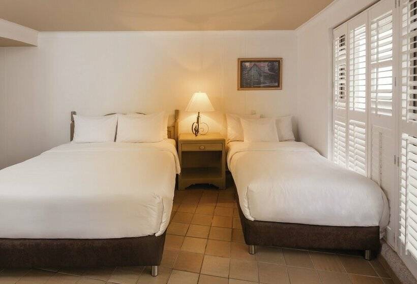 スタンダードルーム, Decameron Aquarium   All Inclusive