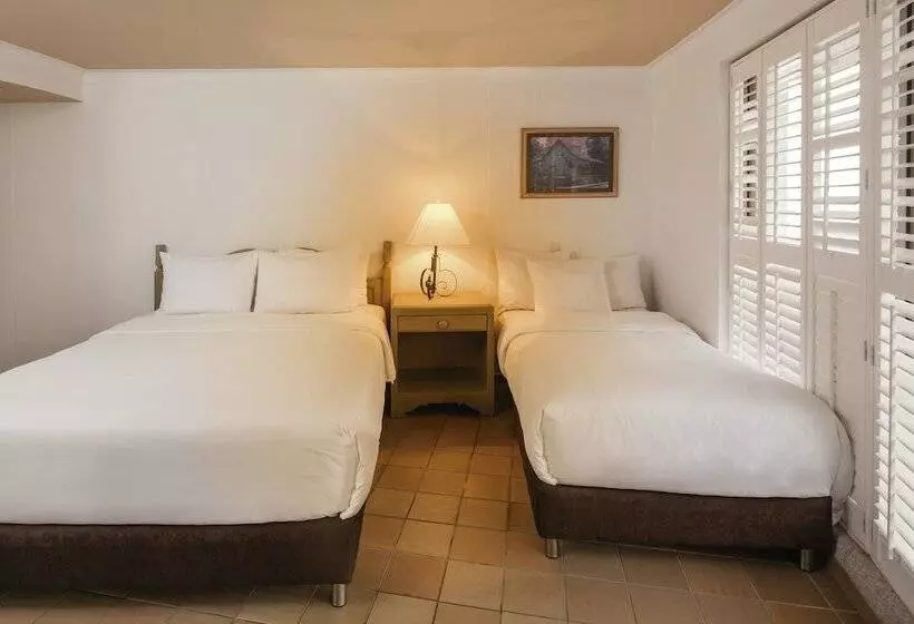 اتاق استاندارد, Decameron Aquarium   All Inclusive