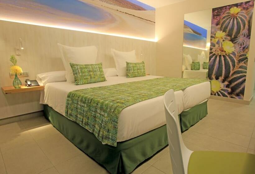 סוויטת ג'וניור, Fergus Cactus Garden