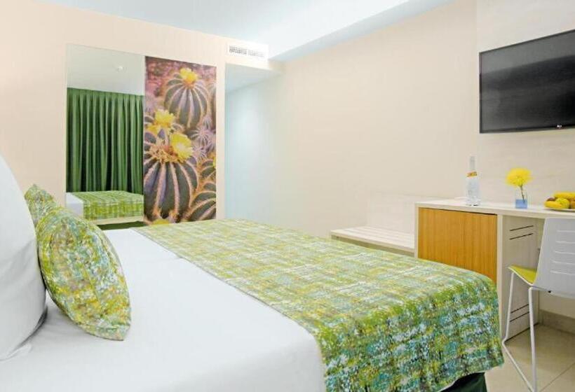 חדר סטנדרט יחיד עם מרפסת, Fergus Cactus Garden