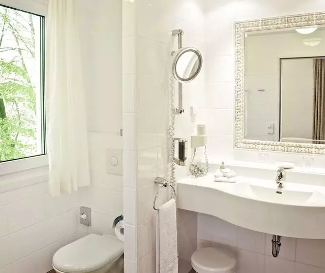 Deluxe-huone, Prinzregent München Messe