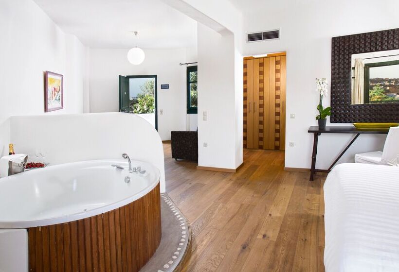 小型套房带海景, Tharroe Of Mykonos Boutique