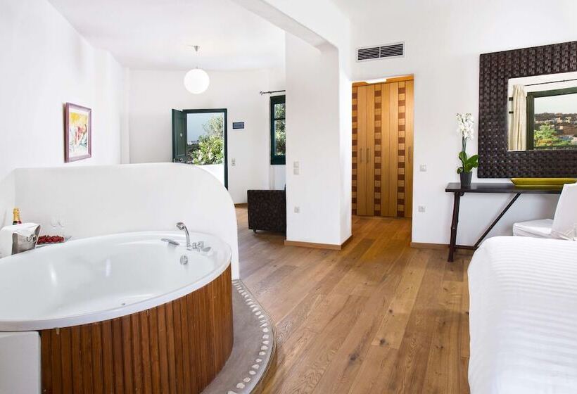 小型套房带海景, Tharroe Of Mykonos Boutique