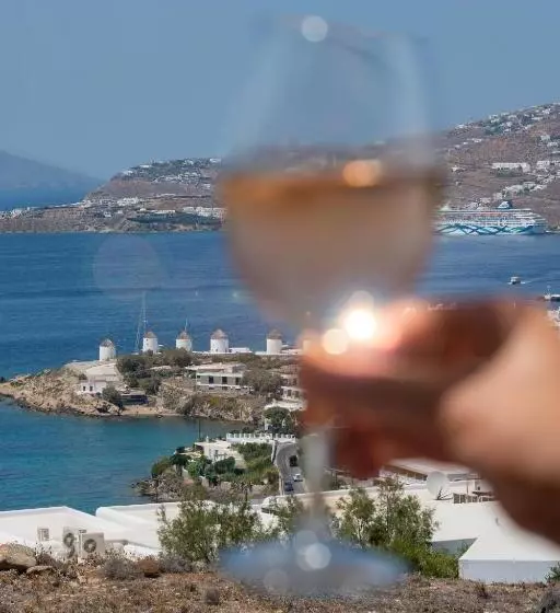 اتاق سوپریور با چشم‌انداز دریا, Tharroe Of Mykonos Boutique