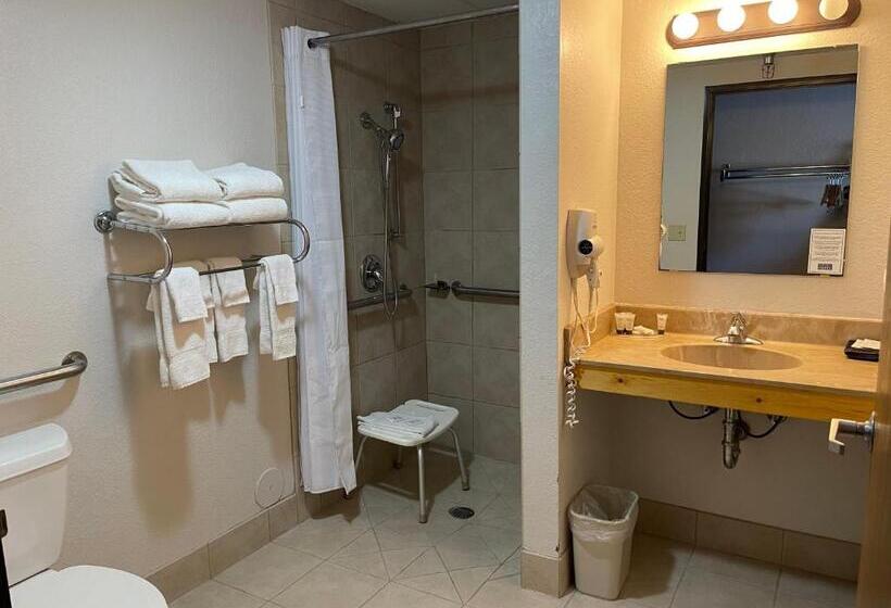 身障者適用スタンダードルーム, Walker