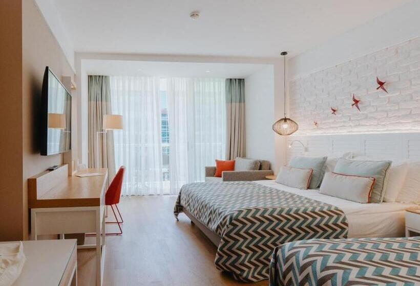 Quarto Estandar, Akra Kemer