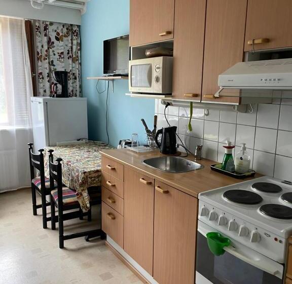 شقة غرفة واحدة, Asikkalan Motelli