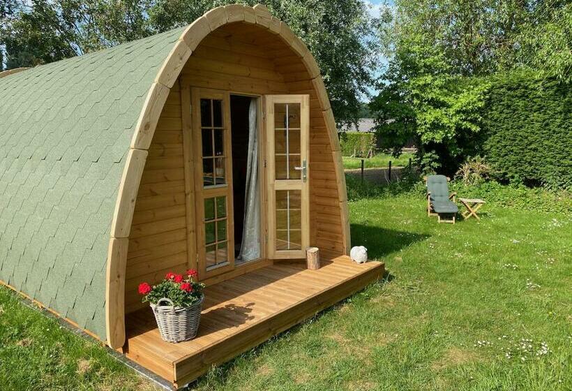 غرفة قياسية مزوَّدة بتراس, Dreumelse Waard