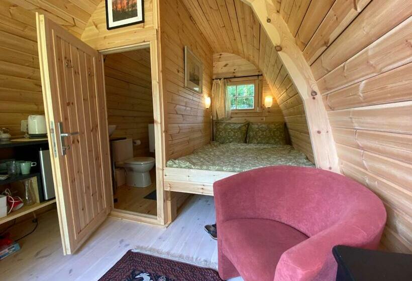 غرفة قياسية مزوَّدة بتراس, Dreumelse Waard