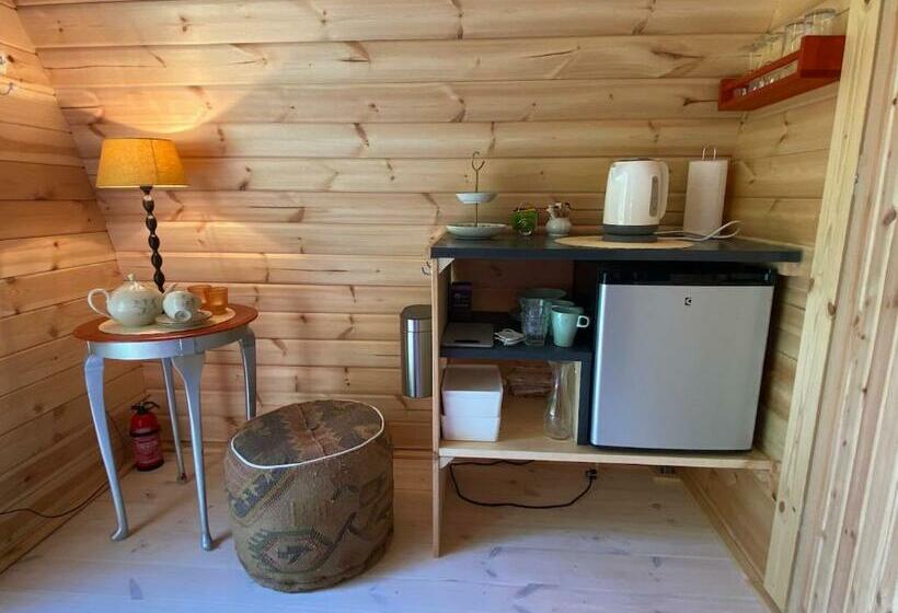 غرفة قياسية مزوَّدة بتراس, Dreumelse Waard