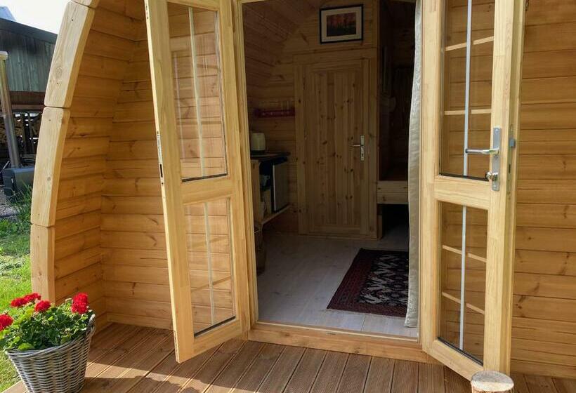 غرفة قياسية مزوَّدة بتراس, Dreumelse Waard