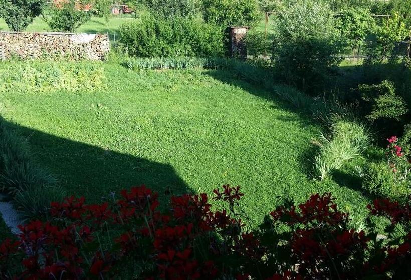 غرفة قياسية, Hazanéző Panzió