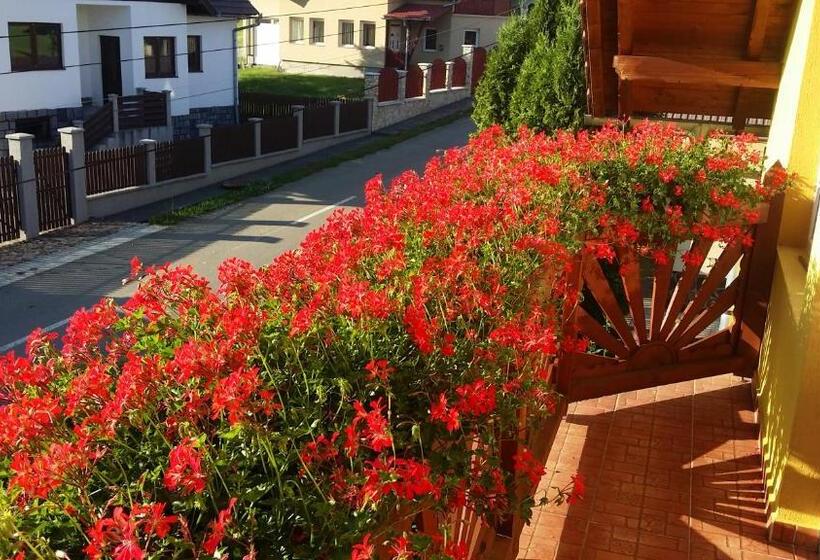 غرفة قياسية, Hazanéző Panzió