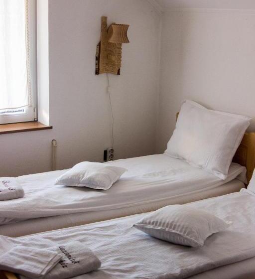 غرفة قياسية, Hazanéző Panzió