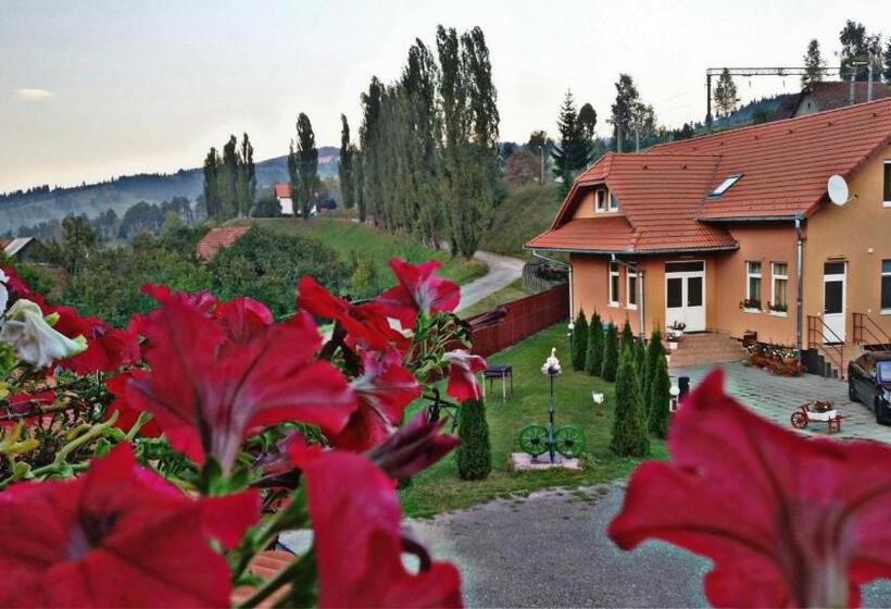 バルコニー付きスタンダードルーム, Picnic Panzio