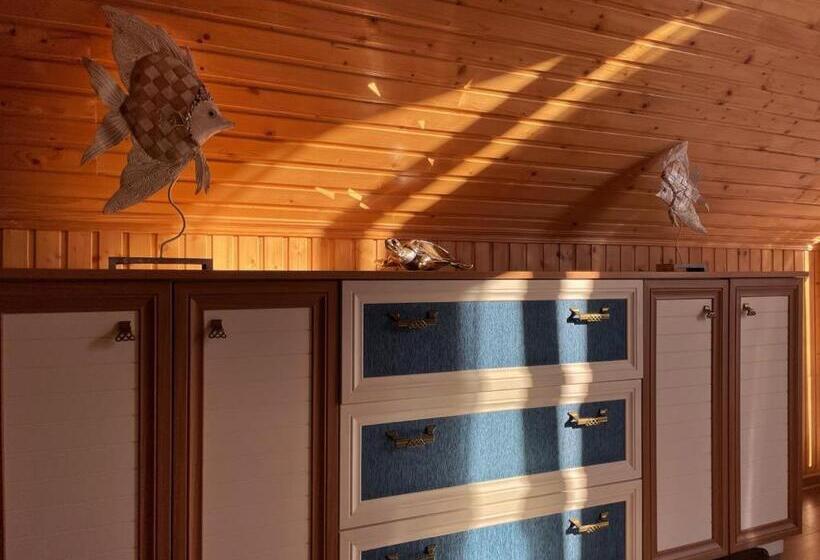 デラックスルーム, панівецька садиба