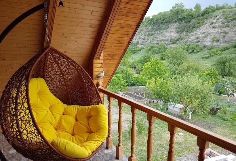 デラックスルーム, панівецька садиба