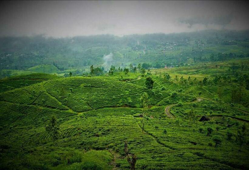 Номер Стандарт, Maskeli Oya Family Park