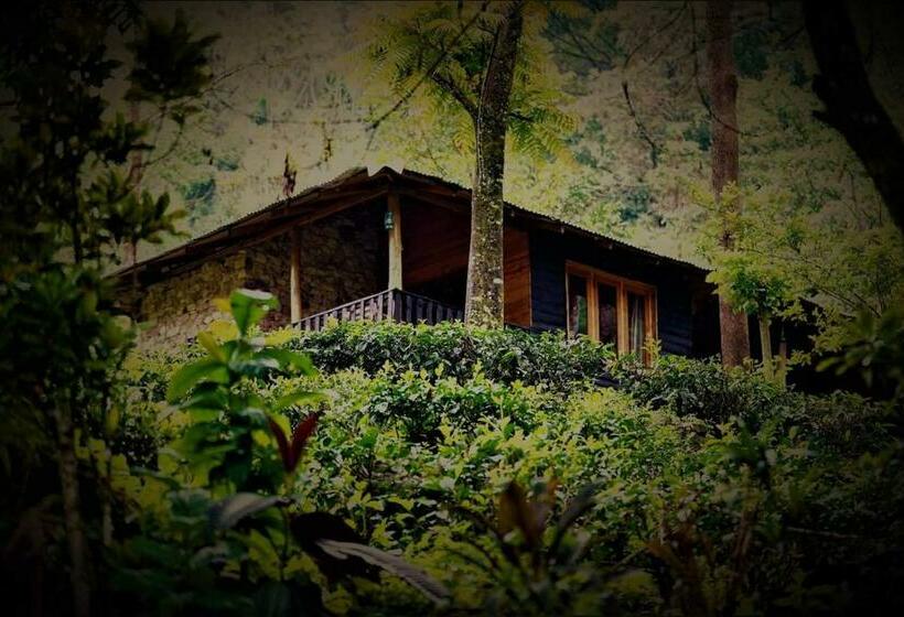 キャビン, Maskeli Oya Family Park